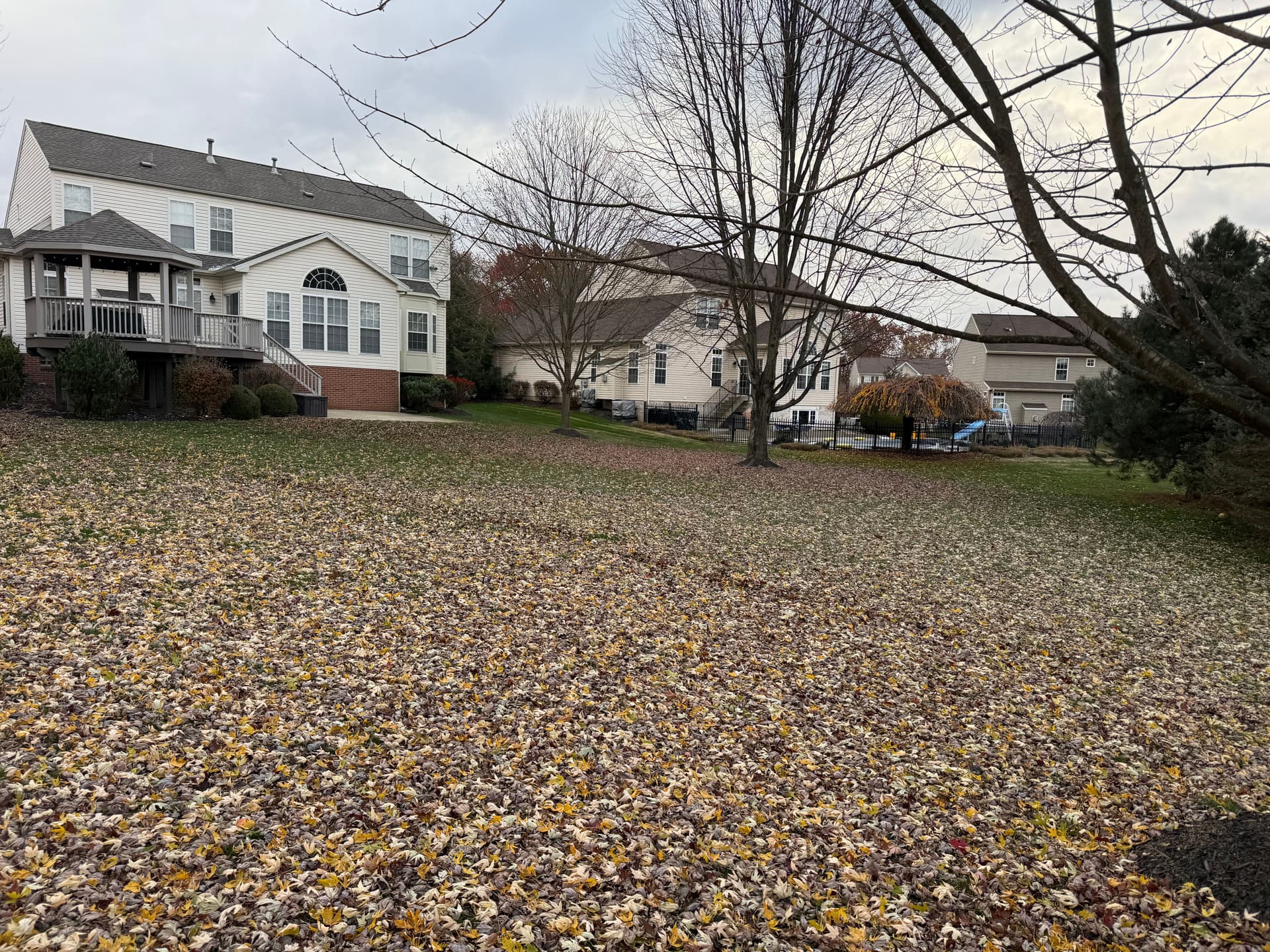 Effortless Leaf Clean Up with Total Landscaping Concepts image