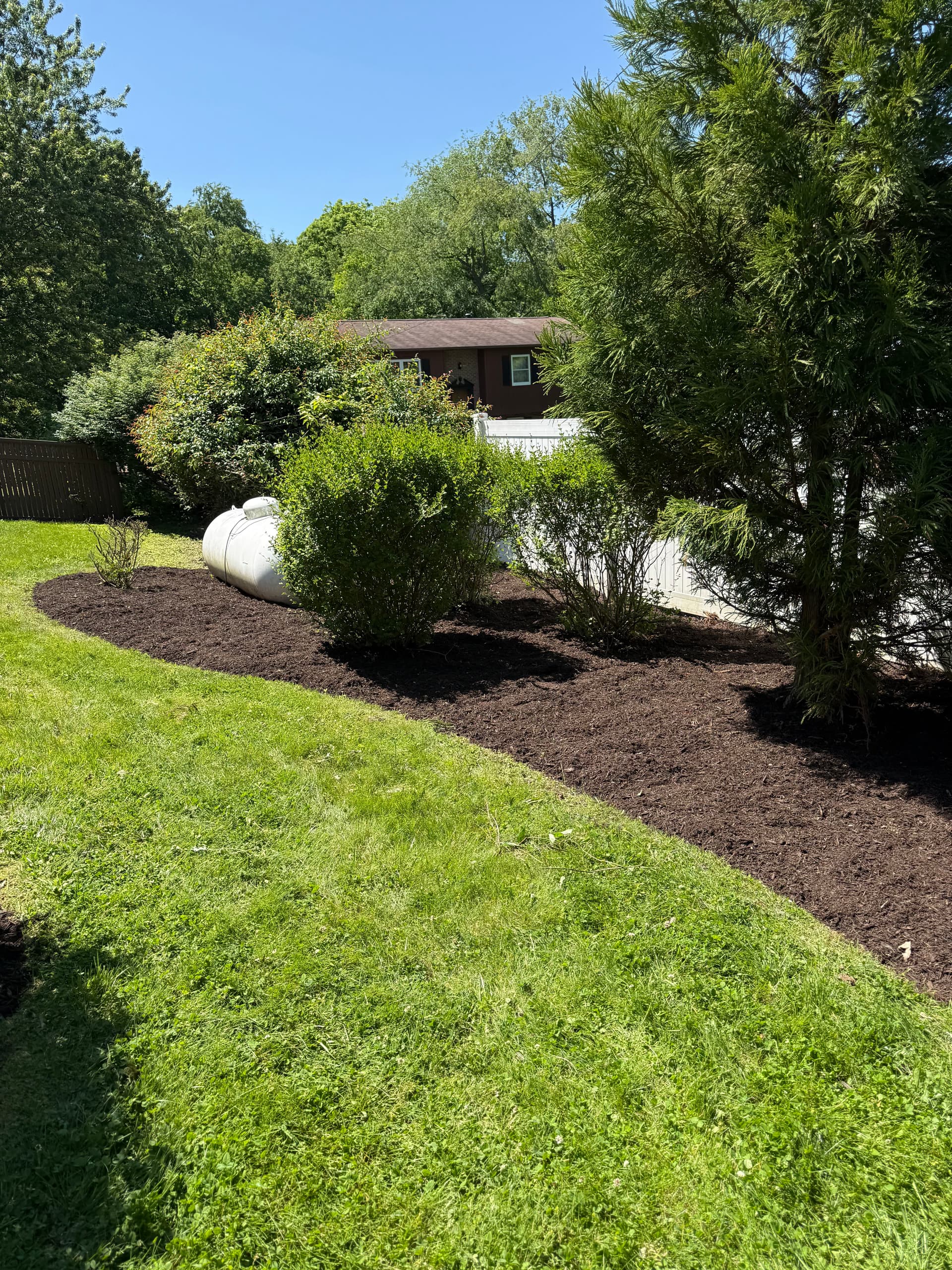 Gallery photos for Fresh Mulch, Clean Beds, and a New Tree That Ties It All Together: Image #6