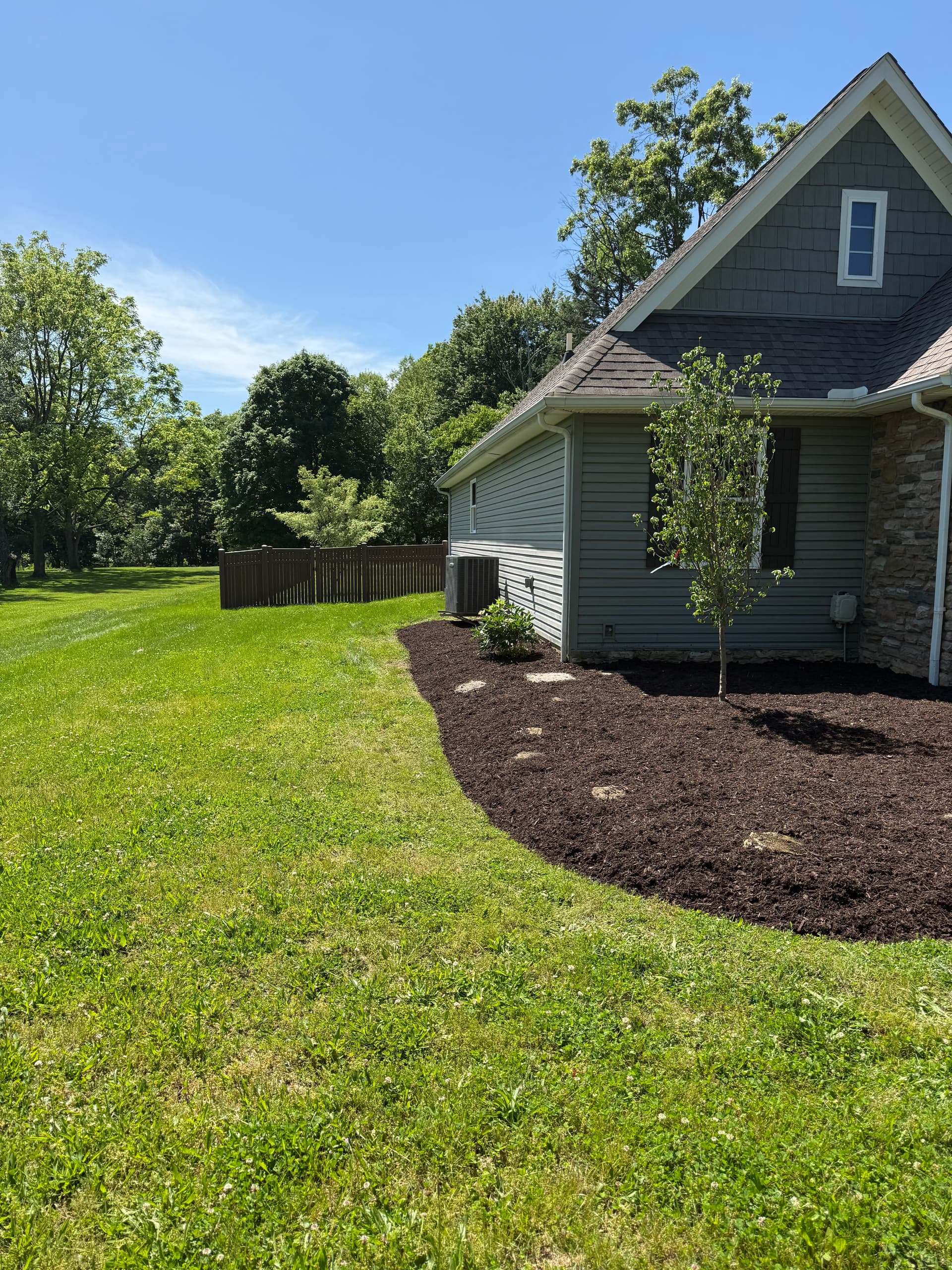 Gallery photos for Fresh Mulch, Clean Beds, and a New Tree That Ties It All Together: Image #4